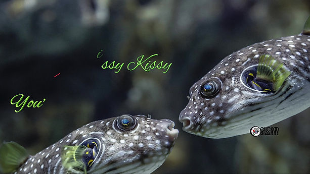 Fish Kiss Valentine